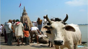 If you love Benares, then don’t read this because what’s inside is just COW DUNG