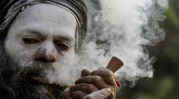 Legality, illegality & “WHO THE HELL CARES” aspect of Marijuana in colleges