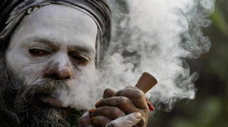 Legality, illegality & “WHO THE HELL CARES” aspect of Marijuana in colleges