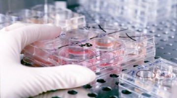 How Science (Lack Of It) Is Pulling India Behind When It Should Have Done The Opposite