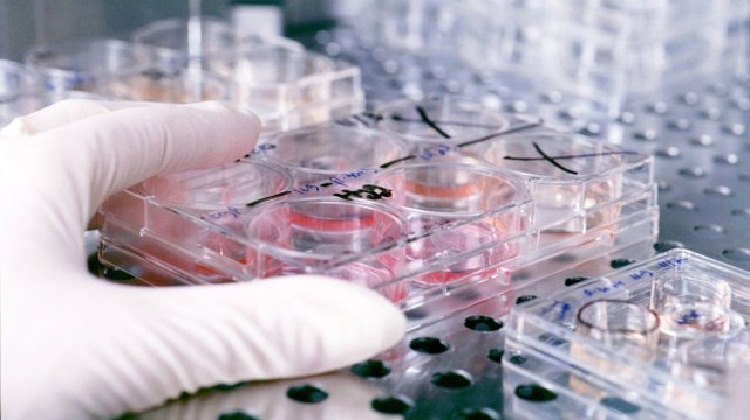 How Science (Lack Of It) Is Pulling India Behind When It Should Have Done The Opposite