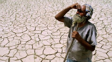 3000 Farmers Have Committed Suicide In The Last 3 Years. It Is No Longer A Breaking News!