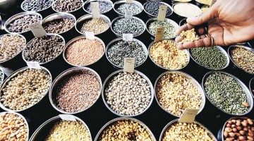 I Went To A Bank To Get Loan For Buying Arhar Dal. I Bribed Onions And Got The Work Done!