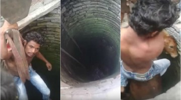 Media Won’t Show This Story Of A Muslim Boy And A Cow, Because It Isn’t Lynching