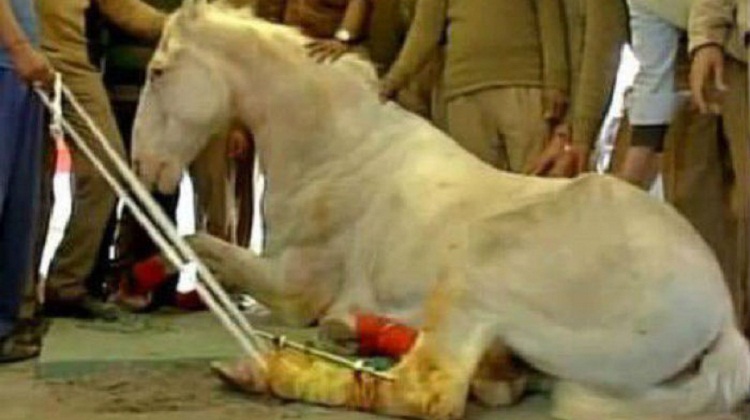 Shaktimaan May Never Come To Rescue Again, All Thanks To Ganesh Joshi